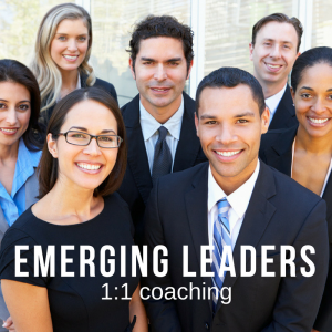 AH Business Psychology offers tailored programs for developing emerging leaders